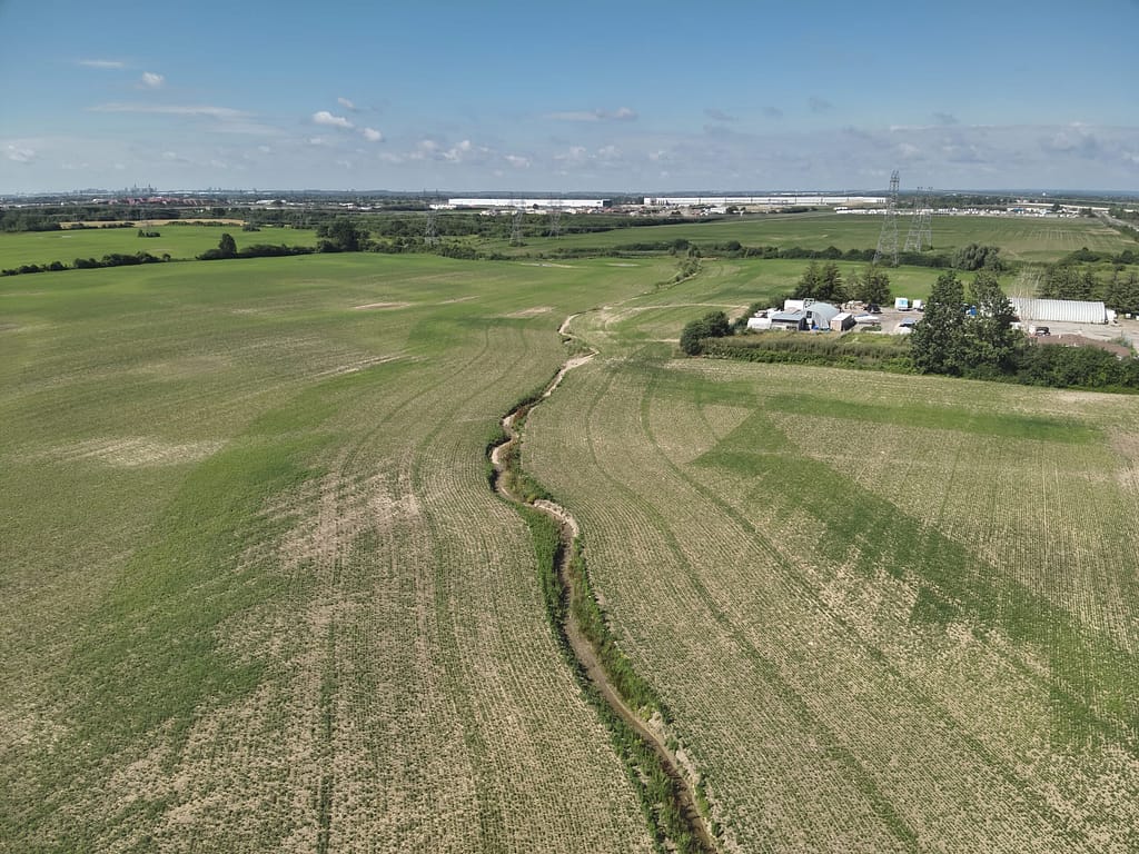 A small stream in a field
